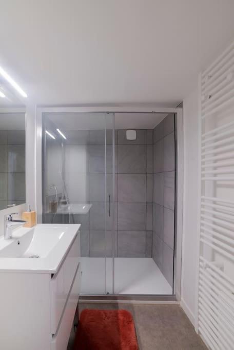 Appartement Cosy Hyper Centre Epinal Ngoại thất bức ảnh